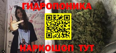 ГАЛЛЮЦИНОГЕННЫЕ ГРИБЫ Тула