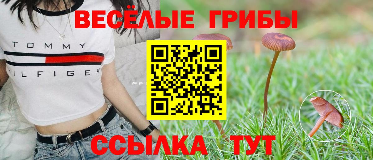 Псилоцибиновые грибы Psilocybine cubensis  Вход с VPN  Буйнакск  Псилоцибиновые грибы прущие грибы 
