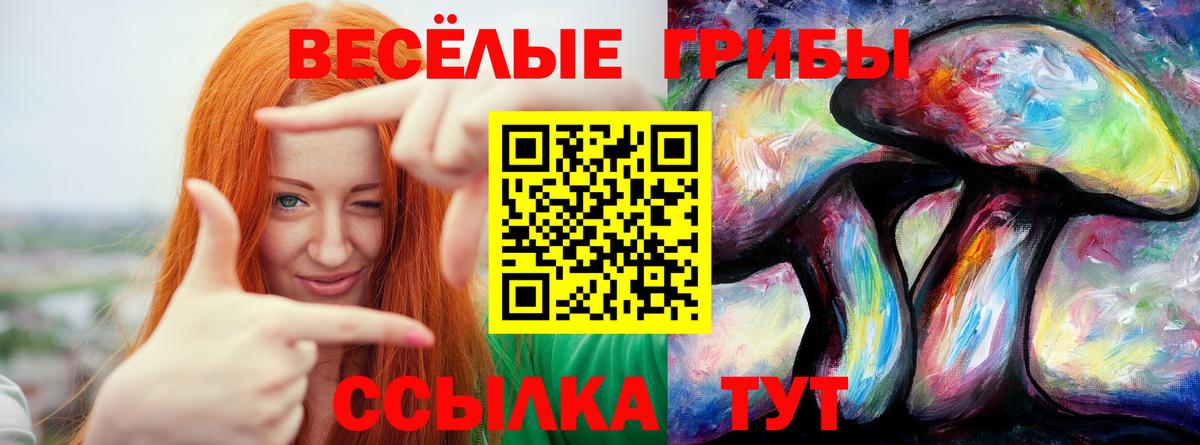 Псилоцибиновые грибы ЛСД Буйнакск